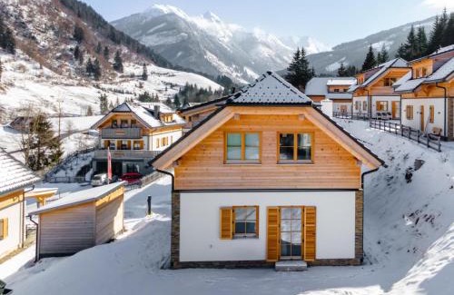 Donnersbachwald Ski Chalet | Haus Enzian