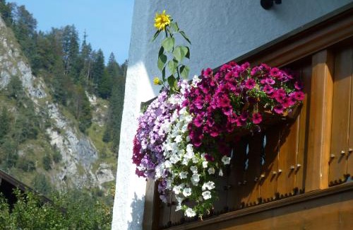 Reit im Winkl Apartment | Haus im Kurpark