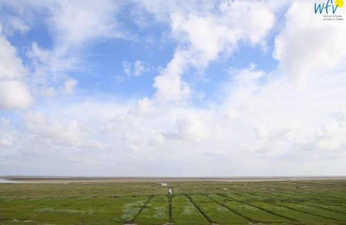 Juist Apartment | Haus Klabautermann - Ferienwohnung Karin's Nest