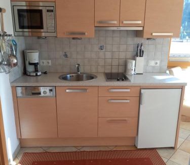 Niederthai Apartment | Haus Panorama