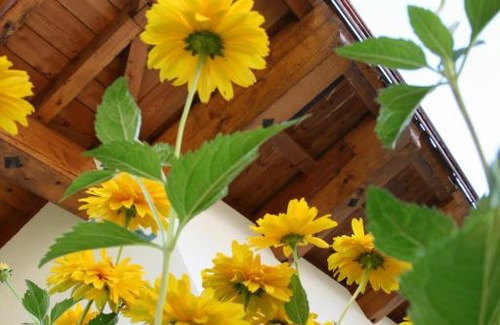 Hollersbach im Pinzgau House | Haus Renswouw