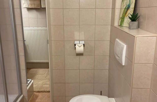 Arzl im Piztal Apartment | Haus Schwaighof - Haus Schwaighof - Fewo Bergblick