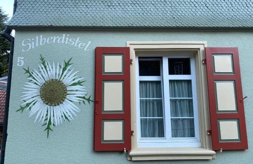 Todtmoos Apartment | Haus Silberdistel