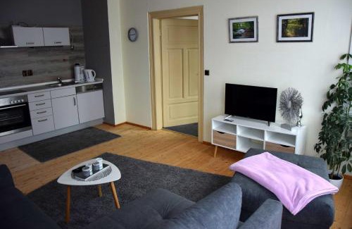 Benneckenstein Apartment | Haus Sonnenblick