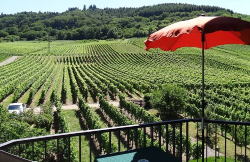 Ernst Apartment | HAUS WEINGARTEN vacation apartment "Relax" directly on the vineyards
