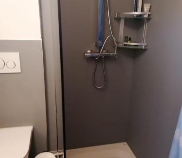 Goms Apartment | Haus Zur Mühle