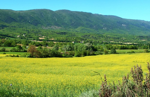 Cereste Cottage | Haute-Provence, charming gîte at the foot of the Grand Luberon