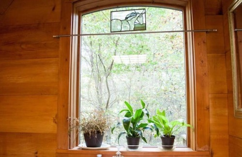 Mills River Cabin | Haven Cabin- Pond, Outdoor Fireplace & Trails!