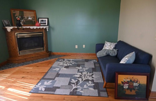 Blissfield Other | Haven for farm and nature fans at a renovated 150 Y/O house on a working farm