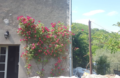 Saint-Laurent-le-Minier House | Haven of peace in the heart of nature in a Cévennes family home