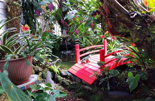 Hilo Cottage | HAWAII Hilo Town~Private GATED Botanical GARDEN COTTAGE w Koi Pond