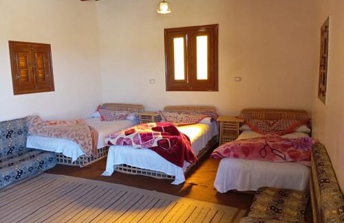 Siwa Other | Hayaat siwa hot spring
