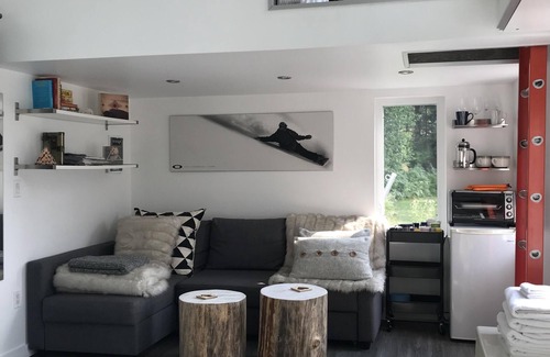 Revelstoke Cabin | Hayley's Stormtrooper Loft Cabin