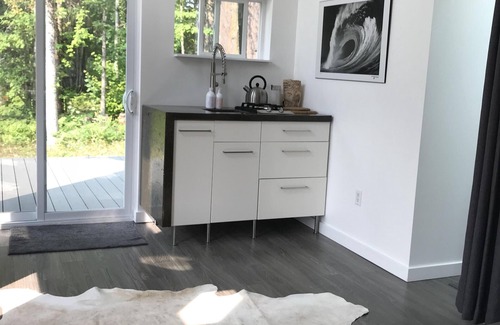 Revelstoke Cabin | Hayley's Stormtrooper Loft Cabin
