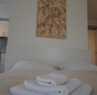 Weisenau Apartment | HB-Living Apartment-Rheinblick