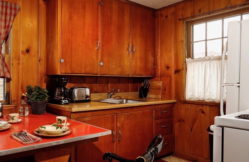 Snowmass Cabin | Heart of the Roaring Fork River | Catch the bus to ski Aspen