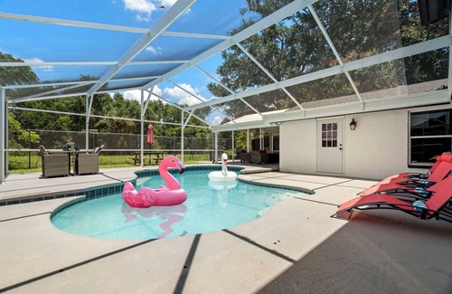 Tampa House | Heated Pool- Outdoor oasis! NEW GAME ROOM! +Grill! 4BR/3BA