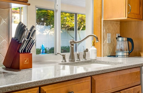 Dunedin House | Heated salt water pool Spacious 4BR,3BR