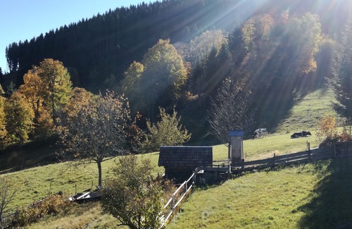Feldberg Apartment | "Heavenly nature" vacation apartment - comfortable, idyllic, quiet