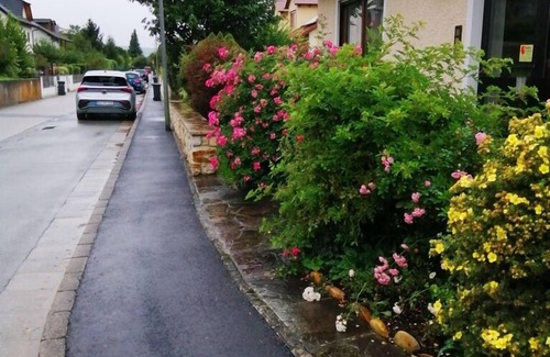 Beilngries Apartment | Helle und Ruhige Ferienwohnung in Waldnähe