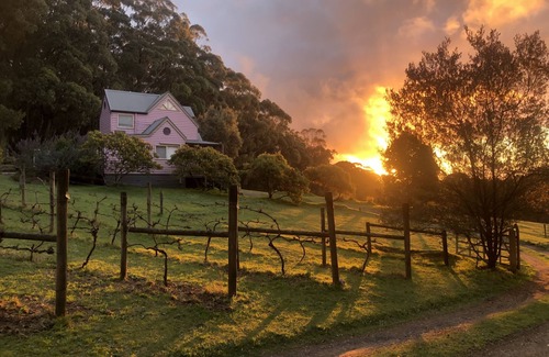 Hoddles Creek Cottage | Help feed rescue animals on peaceful 40-acre Gembrook farmstay & sanctuary