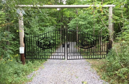 Dansville Cabin | Hemlock Hideaway Cabin with waterfalls, walking trails