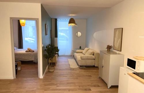 Castres Apartment | Henri ll l Terrasse l Proche gare & Centre ville