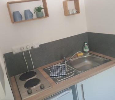 Plein Sud Apartment | Henriville Studio n °1