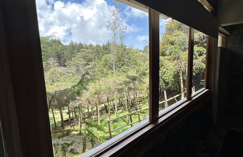 Medellin Hotel | Hermosa Habitacion Suite En Santa Elena