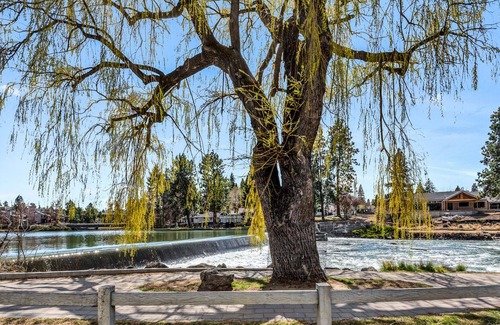 River Terrace Cottage | "Heron Then" Retro Riverfront Cottage near Downtown