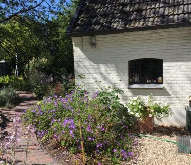 Empe House | Het Buitengebied