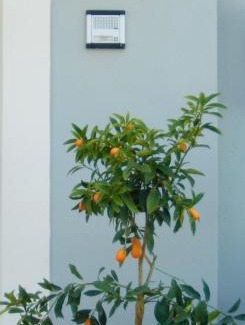 Marina di Cecina Hotel | HG Hotel Il Settebello