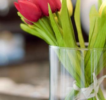 Marina di Cecina Hotel | HG Hotel Il Settebello