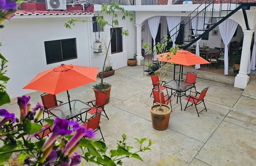 Centro Apartment | Hidden Gem: Bright and spacious apartment, just steps from Oaxaca’s best spots!