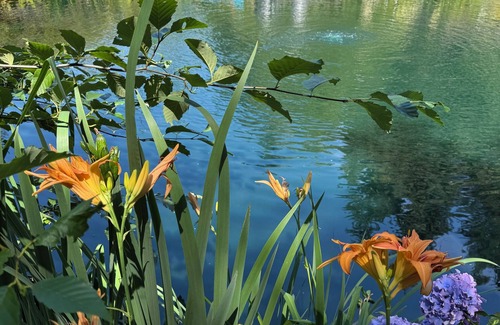 Metchosin Apartment | Hidden Pond Gong Suite - Luxury , Pet Friendly, with Hot Tub and Private Beach