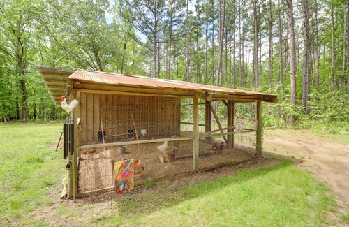 Higden Apartment | Higden Studio w/Shared Patio, Yard Games, Grills!