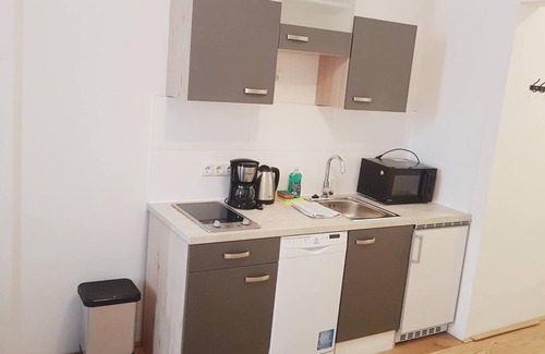 Innere Stadt Apartment | High class city Apartment A15 with AC