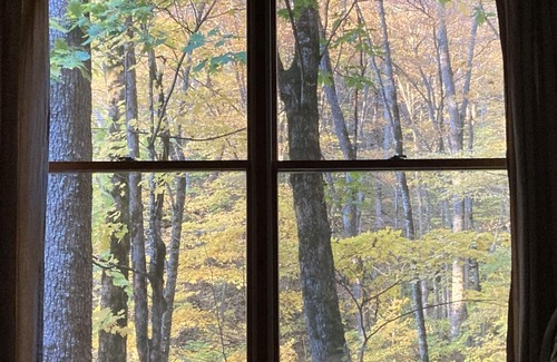 Waynesville Cabin | High Hope-Escape to A Tranquil Cabin Retreat at 4000 Feet, Pet friendly