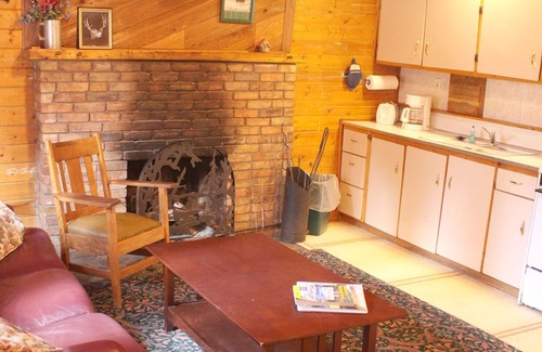 Lake City Cabin | High Mountain 3 BR log home w/fireplace