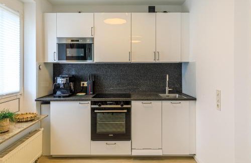 Wuerzburg Apartment | High-quality apartments near Residence - parking space