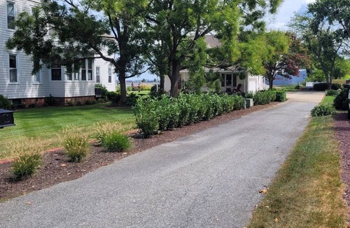 Cambridge House | High Water Guest House