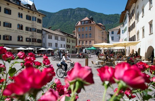Caldaro Sulla Strada del Vino Apartment | Hike, cycle and enjoy, Kaltern am See