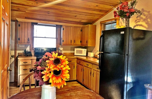 Elkton Cabin | Hike,Massanutten Resort,LurayCaverns,Skyline Drive, Snow Tube/Ski