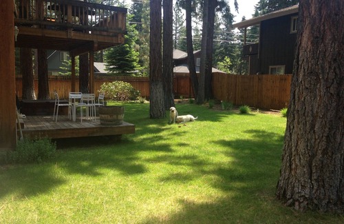 Montgomery Estates House | Hikers Delight And Mountain Fun For You and Your Family!