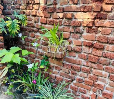 Ambalangoda Bed & Breakfast | Hikka luna hikkaduwa