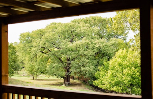 Stonewall Cabin | Hill Country Retreat on the Pedernales – Near Wineries & Distilleries