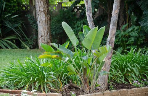 Bulawayo House | Hillside Manor