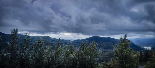 Yercaud Hotel | Hillside Resort