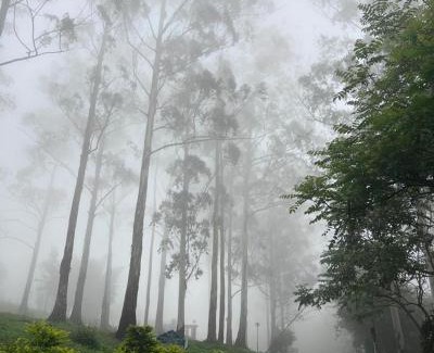 Yercaud Hotel | Hillside Resort