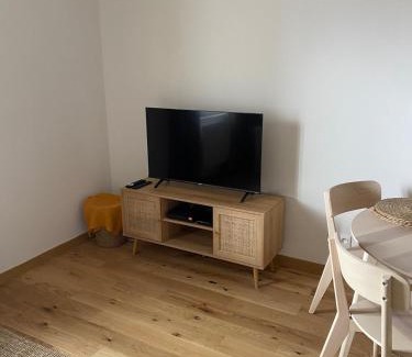 Saint-Laurent-sur-Saone Apartment | Hilo Charming Appartment Saint Laurent Sur Sane